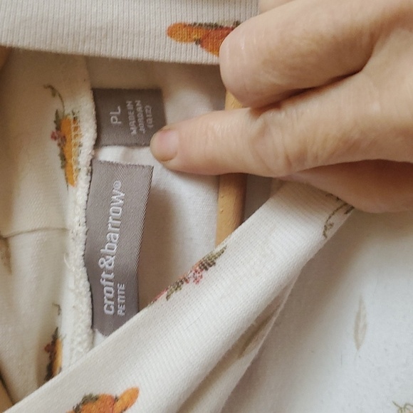 Croft & Barrow Bundle of 2 Mock Neck Fall Graphics Long Slv Sz. PL Tops - Picture 6 of 14